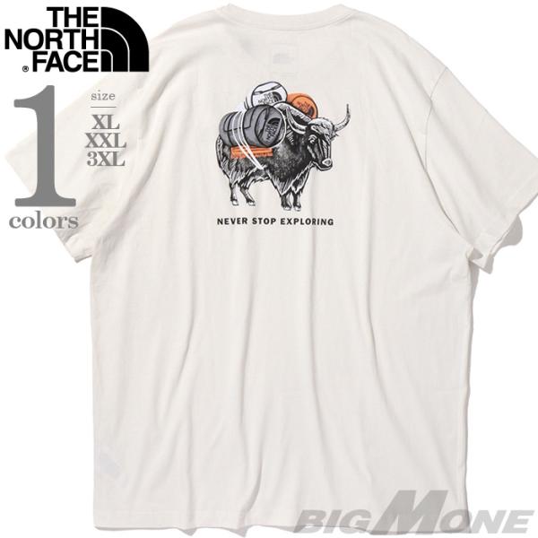 大きいサイズ メンズ THE NORTH FACE ノースフェイス プリント 半袖 Tシャツ USA...