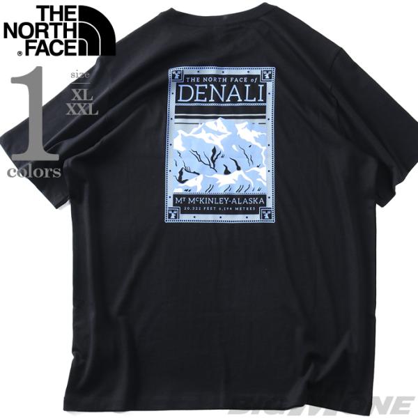大きいサイズ メンズ THE NORTH FACE ノースフェイス プリント 半袖 Tシャツ NOR...