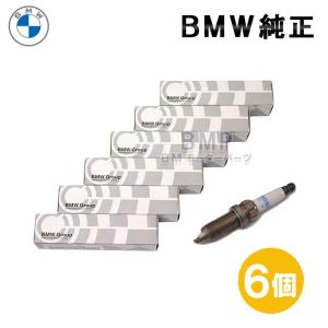 BMW 純正 ハイパワー スパークプラグ 1本 F20 F22 F45 F46 F30 F31 F32