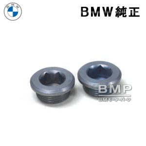 BMW 純正 デフ ドレンボルト Oリング付き ロック ピン 2個セット M22x1.5 ZNS3