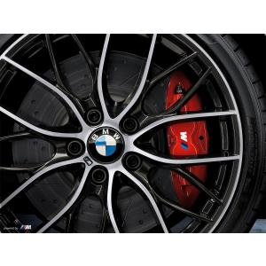 BMW 純正 F30 F31 F34 3シリーズ M Performance ブレーキ システム レッド リアローターセット パフォーマンス｜bmp