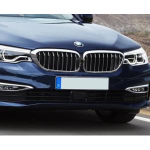 BMW 純正 G30 G31 前期 5シリーズ M Performance ブラック キドニー