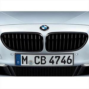 BMW BMW F12 F13 F06 6シリーズ用 M6 M Performanceブラック キドニー