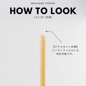 6mm口径 テイクアウト おしゃれ エコ バガ...の詳細画像1