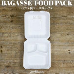 テイクアウト 容器 takeout お持ち帰り おしゃれ エコ バガス フード