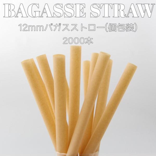 12mm口径 テイクアウト おしゃれ エコ バガス サトウキビ ストロー エコストロー 個包装  2...