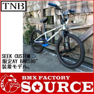 自転車 BMX FLATLAND 20インチ  TNB  SEEK CUSTOM GRAY AY-BAR｜bmx-source