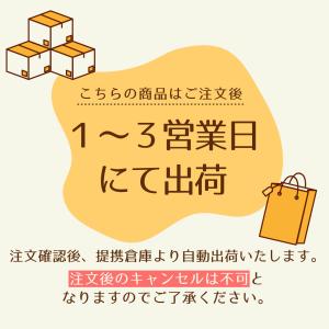 IPA 500ml イソプロピルアルコール 純...の詳細画像5