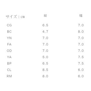 ザ・ノース・フェイス TNFケアワッペン リメ...の詳細画像1