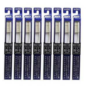 エビス 豚毛ハブラシ B-T35×8【8個セット】【ネコポス】送料無料 歯ブラシ
