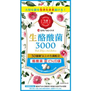 ミナミヘルシーフーズ 生酪酸菌3000 ( 60カプセル )/ : 爽快 ミナミヘルシーフーズ 生酪酸菌3000 ( 60カプセル )/ : 爽快