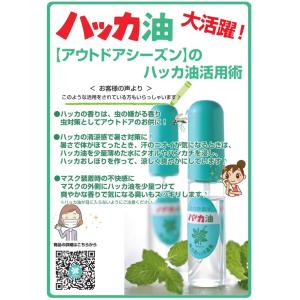 【送料無料】北見ハッカ通商 ハッカ油スプレー ...の詳細画像1