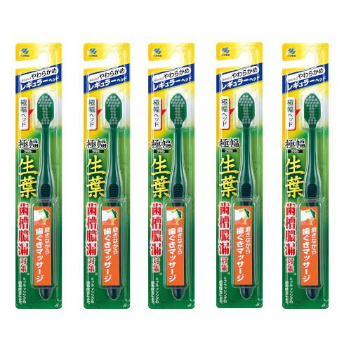 【5個セット】生葉(しょうよう)極幅ブラシ 歯ブラシ レギュラーヘッド やわらかめ×5個【ネコポス】