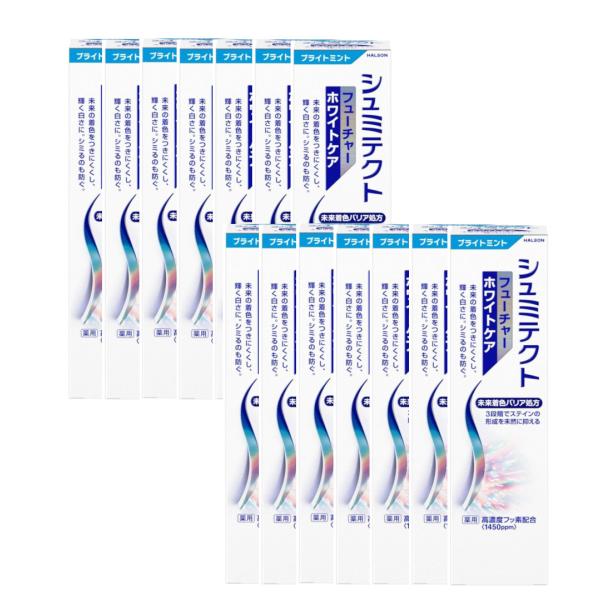 シュミテクト フューチャーホワイトケア 高濃度フッ素配合  80g×14【14個セット】送料無料 歯...