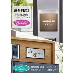 表札 戸建 ステンレス アクリル おしゃれ サ...の詳細画像3