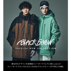 スノボ ケース オールインワン スノーボード ...の詳細画像1