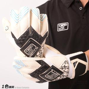 セルス F3 プロ H20 アクア【送料無料】｜boas-compras