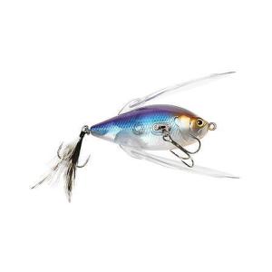DSTYLE/ディスタイル GEELACANTH 4inch/ギーラカンス 4インチ Feco認定