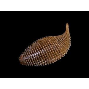 GEECRACK/ジークラック　BELLOWS GILL/ベローズギル　(2インチ、2.8インチ、3.8インチ)　Feco認定