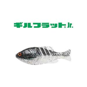 issei/一誠 GILL-FLAT Jr./ギルフラットJr. ノーマルカラー 【メール便