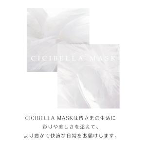 4Dマスク 小顔マスク バイカラーマスク 立体...の詳細画像2