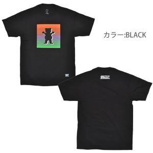 グリズリー/GRIZZLY メンズ Tシャツ ...の詳細画像2