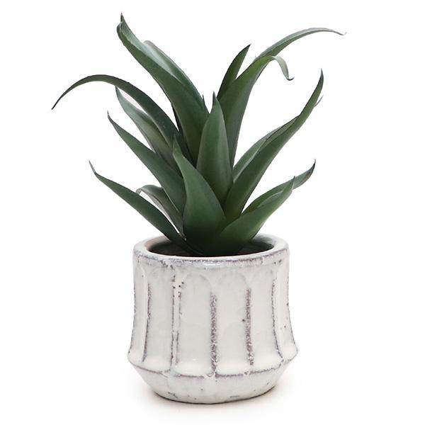 KI JAPAN【ケーアイジャパン】168744 エペ ポット アロエ 光触媒 消臭効果 抗菌効果 ...