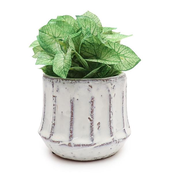 KI JAPAN【ケーアイジャパン】168751 エペ ポット シンゴニウム 光触媒 消臭効果 抗菌...