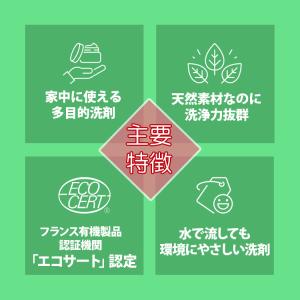 期間限定セール!【1種お選び】ピエールダルジャ...の詳細画像3