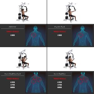 BODY DESIGN(ボディデザイン)DXホ...の詳細画像5
