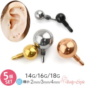 キャッチのみ 5個セット ボディピアス ボール 14G 16G 18G 2mm 3mm 4mm インターナル ステンレス カスタマイズ シルバー｜body-style