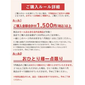 ボディピアス ボディピが1円で買える バーベル...の詳細画像2