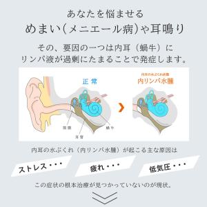 携帯用 鼓膜按摩器 Clear クリア メニエ...の詳細画像2