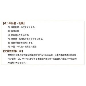 【父の日応援おまけ付】遠赤外線 家庭用治療器 ...の詳細画像3
