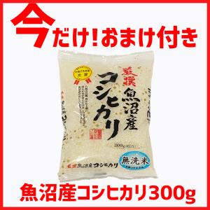 【父の日応援おまけ付】遠赤外線 家庭用治療器 ...の詳細画像2
