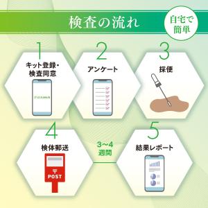 腸内フローラ検査 エクオール検査キット cha...の詳細画像3