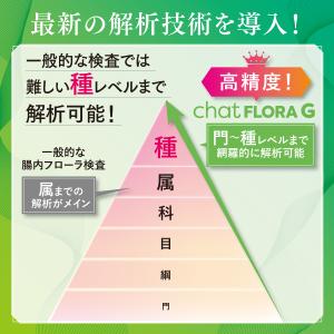 腸内フローラ検査 エクオール検査キット cha...の詳細画像4