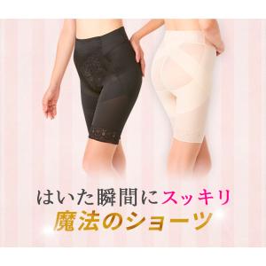 芦屋美整体 骨盤スリムスタイルショーツ 2枚セ...の詳細画像4