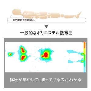 テイジン 防ダニ快適トッパー シングル TEI...の詳細画像2