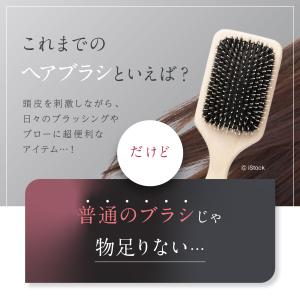 WAVEWAVE EMS Brush Air ...の詳細画像4