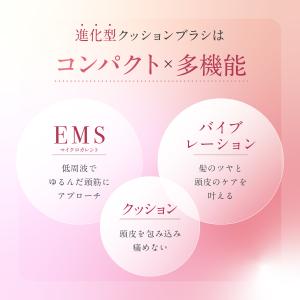 WAVEWAVE EMS Brush Air ...の詳細画像5