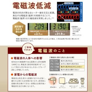 ゼンケン 電磁波低減 ヘアドライヤー ZD-7...の詳細画像3