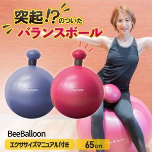 GYMNIC お取り寄せ商品 ギムニク バランスボール 120 レッド フィジオ