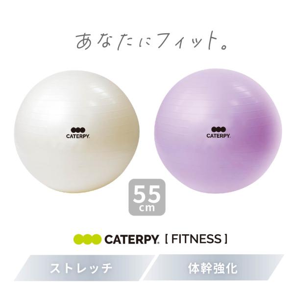 CATERPY フィットネスボール 55cm バランスボール ピラティス  運動 プレゼント 簡単 ...