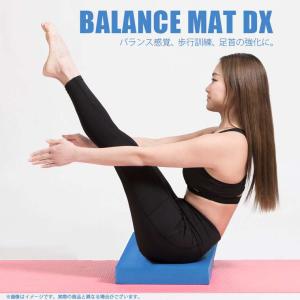 AIREXエアレックス トレーニングマット フィットライン140 厚さ10mm Amazon | AIREX(エアレックス) トレーニングマット フィット