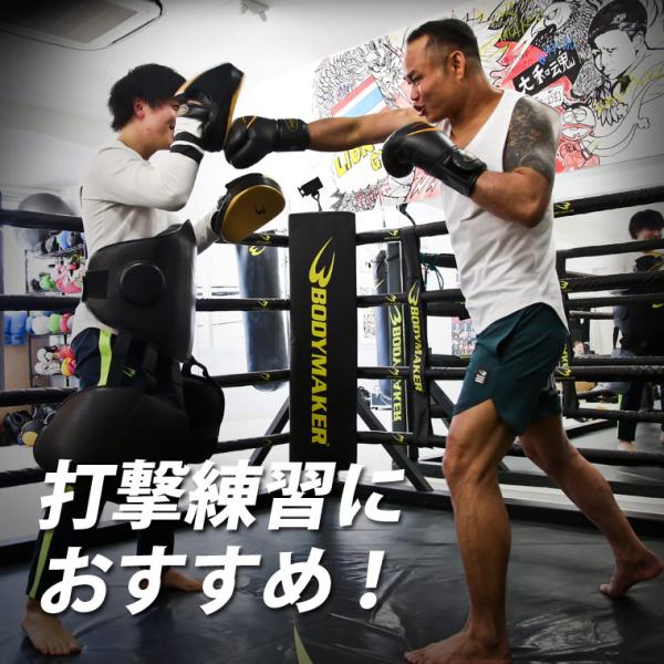 ボクシンググローブ サムライエッジ プロモデル BODYMAKER ボディメーカー 8オンス 10オ...