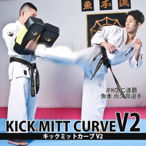 【90日保証】キックミットカーブ V2 BODYMAKER ボディメーカー キックボクシング ボクシング 格闘技 空手 エクササイズ カーフキック キックミット 軽量｜BODYMAKER Yahoo!店