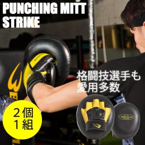 パンチングミットストライク BODYMAKER ボディメーカー