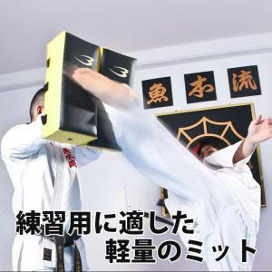 ハイパーキックミット BODYMAKER ボデ...の詳細画像1