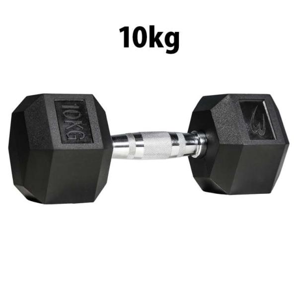 六角ダンベル 10KG BODYMAKER ボディメーカー PD0091000K 六角 ダンベル １...